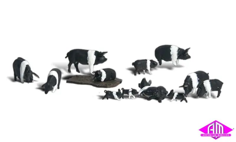 A1864 - Scenic Accents - Hampshire Pigs (Ho Scale) 1