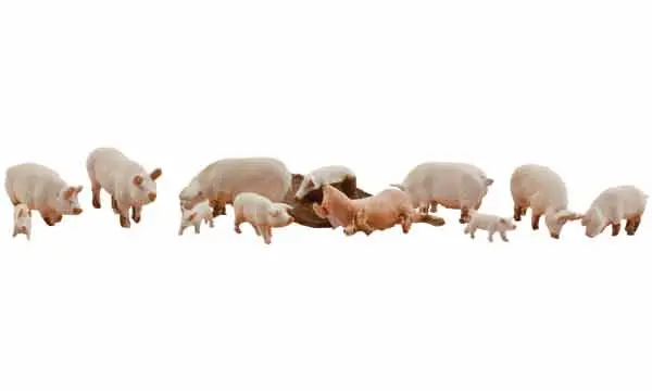 A1957 - Yorkshire Pigs (Ho Scale) 1