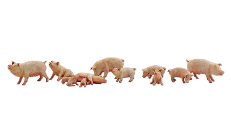 A2218 - Yorkshire Pigs (N Scale) 1