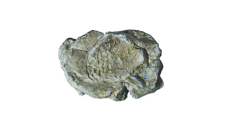 C1237 - Rock Mold - Wind Rock 1