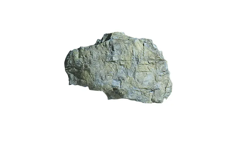 C1240 - Rock Mold - Rock Mass 1