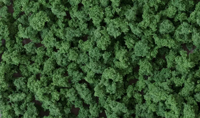 Fc1647 - Bushes - Dark Green 1