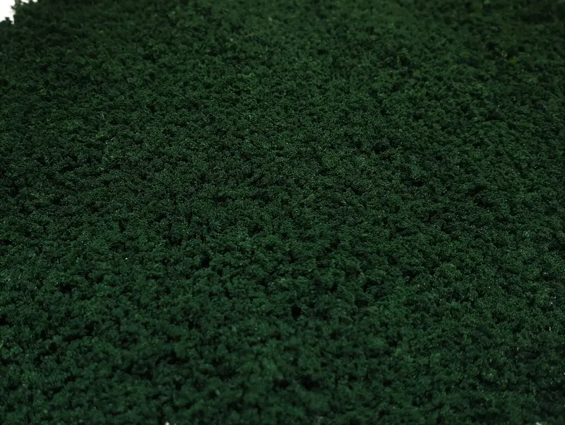 Ground Up - Deep Green Foliage Canister 950Cm3 1