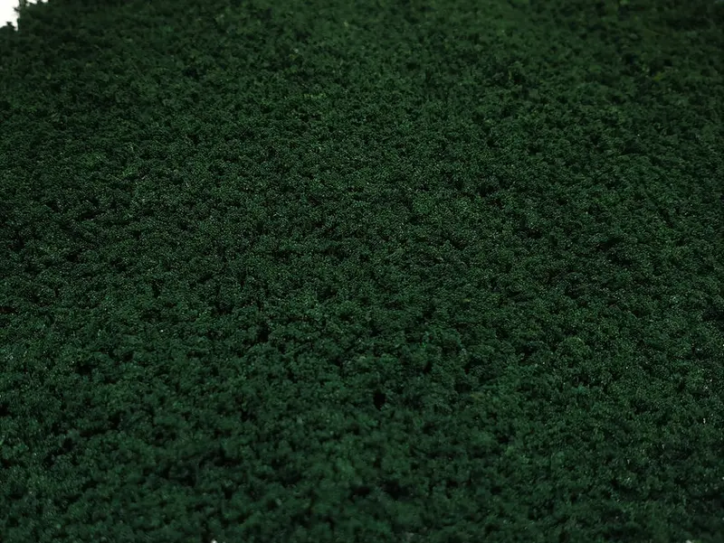 Ground Up - Foliage - Deep Green Resealable Bag 395Cm3 1