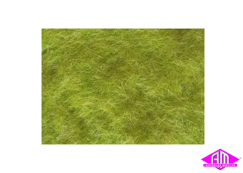 Ground Up - Static Grass Early Growth 3Mm 50G 1
