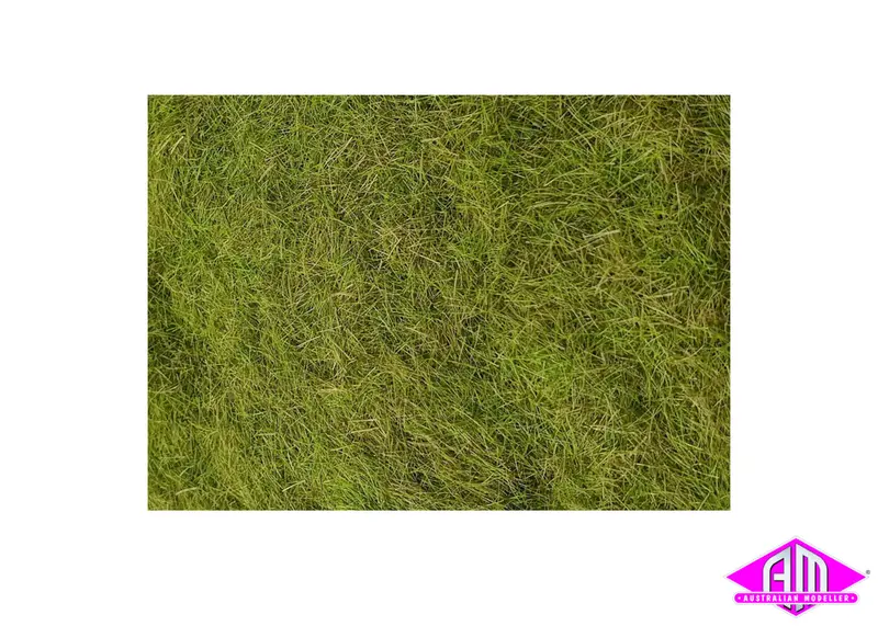 Ground Up - Static Grass Wild Grass 5Mm 50G 1