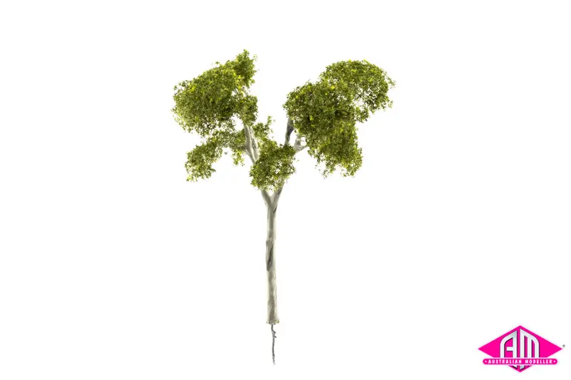 Gum Tree 105Mm Medium (Single Tree) 1
