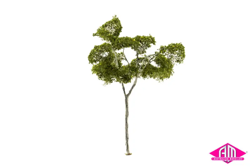 Gum Tree 200Mm Medium (Single Tree) 1