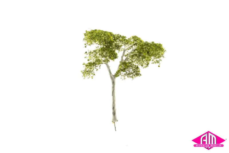 Gum Tree 90Mm Medium (Single Tree) 1