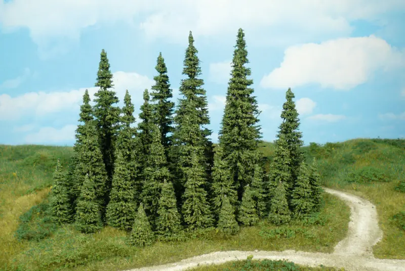 Hek-1795 - 20 Pine Trees - 3-9Cm 1