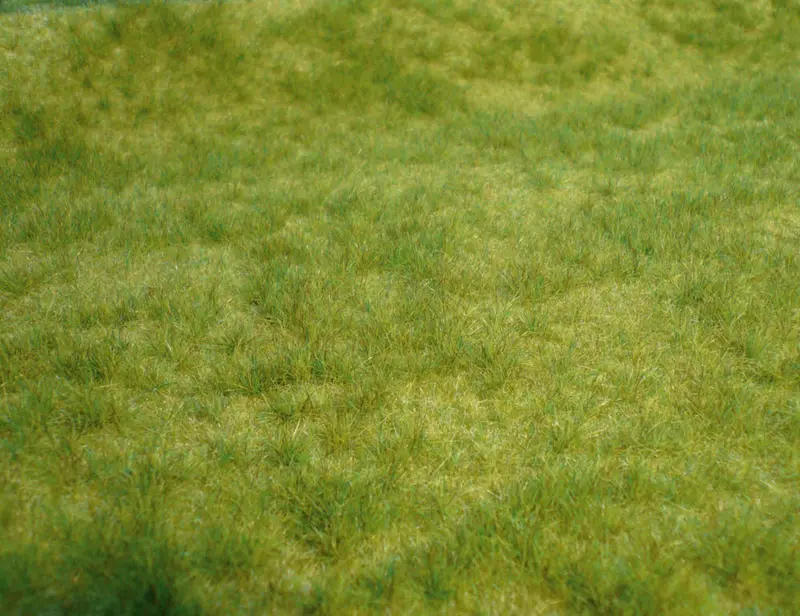 Hek-1841 - Wildgrass - Spring Green - 45X17cm 1