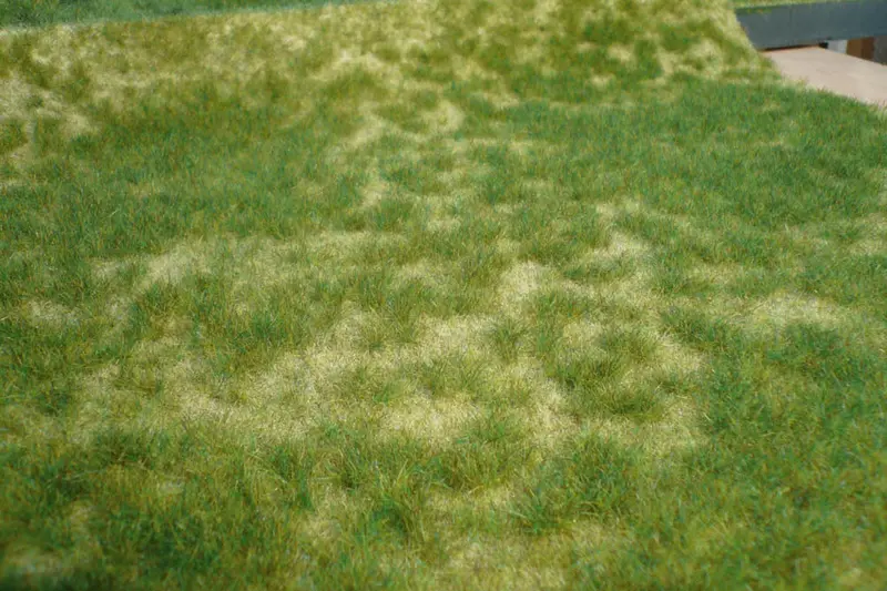 Hek-1842 - Wildgrass - Summer Green - 45X17cm 1