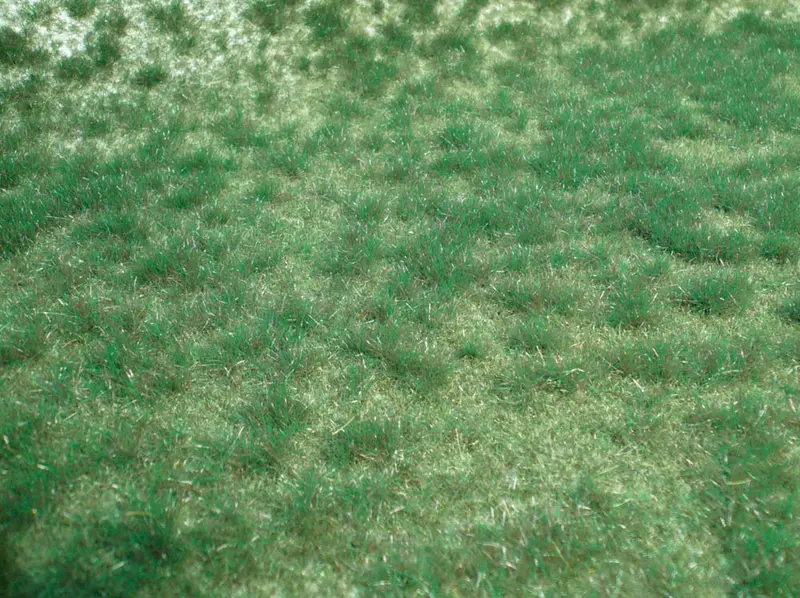 Hek-1843 - Wildgrass - Moorland Green - 45X17cm 1
