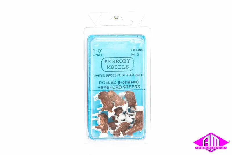 Km-H2 Hereford Steers 1