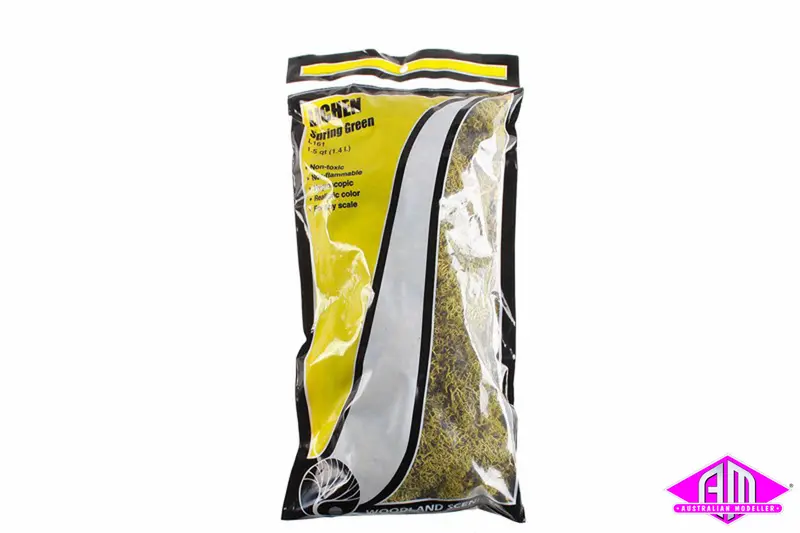 L161 - Lichen - Spring Green 1
