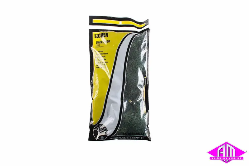 L164 - Lichen - Dark Green 1