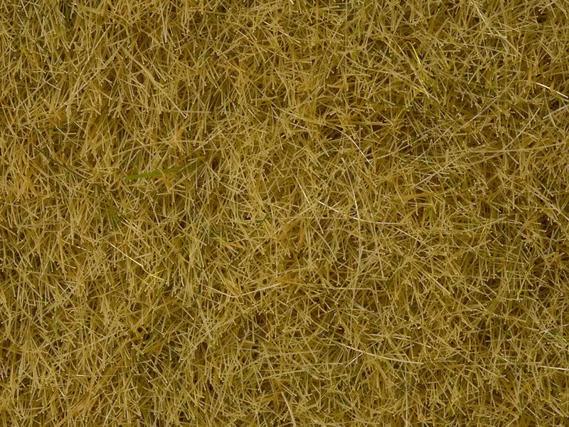 Noch 07091 - Wild Grass - Beige (6Mm) (100G Tub) 1