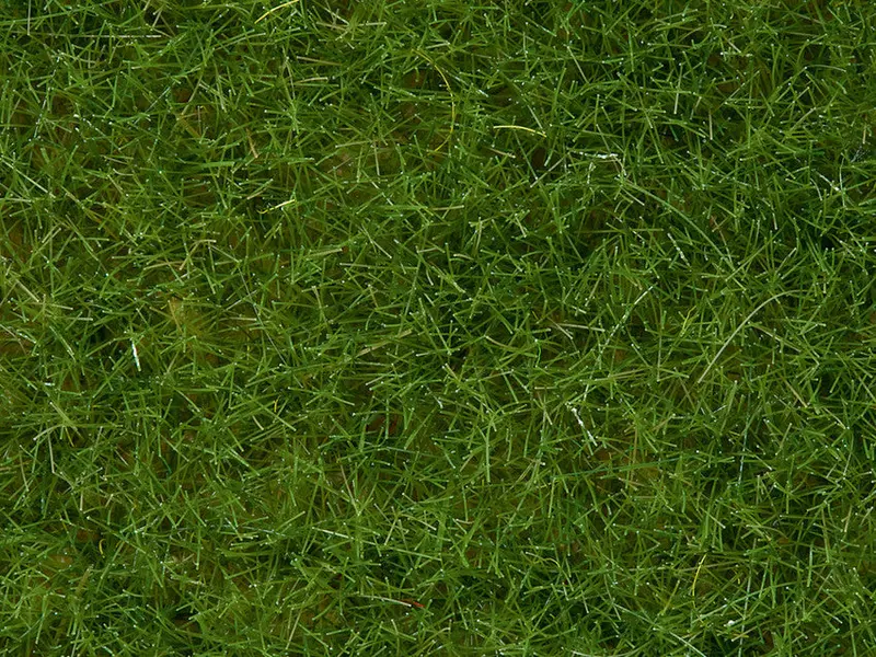 Noch 07092 - Wild Grass - Light Green (6Mm) (100G Tub) 1