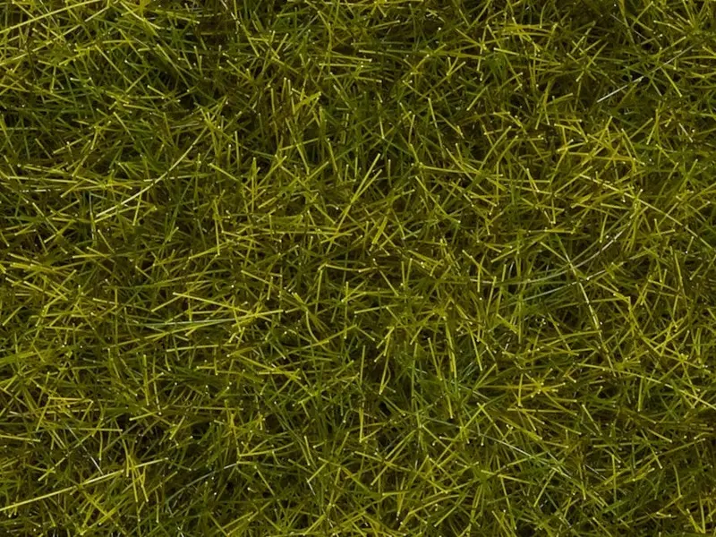 Noch 07110 - Wild Grass Xl - Meadow (12Mm) (40G) 1