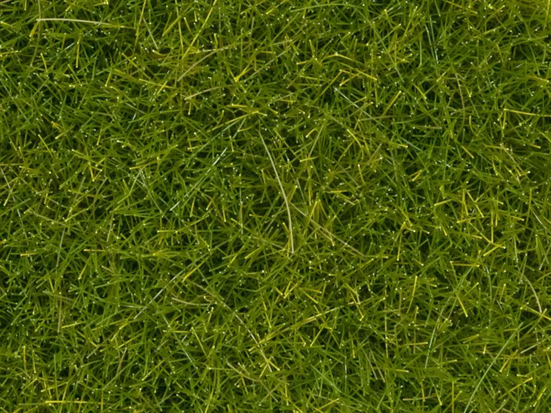 Noch 07112 - Wild Grass - Xl - Light Green (12Mm) (40G) 1