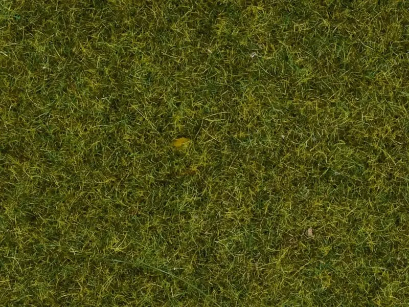 Noch 07117 - Wild Grass - Meadow (9Mm) (50G) 1