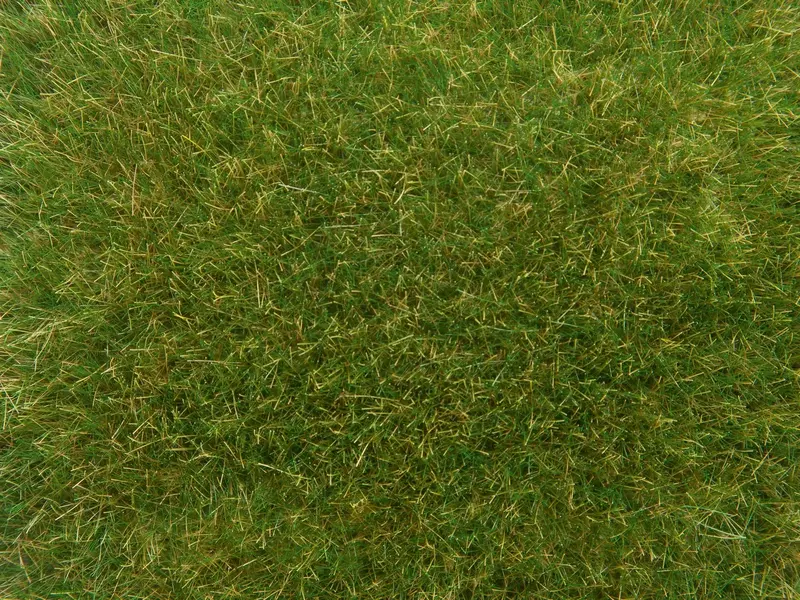 Noch 07118 - Wild Grass - Medium Green (9Mm) (50G) 1