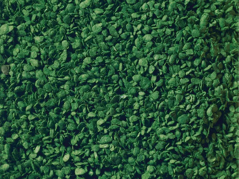 Noch 07154 - Leaves - Medium Green (100G Tub) 1