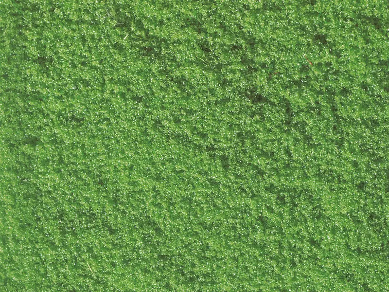 Noch 07202 - Flock - Light Green (20G) 1