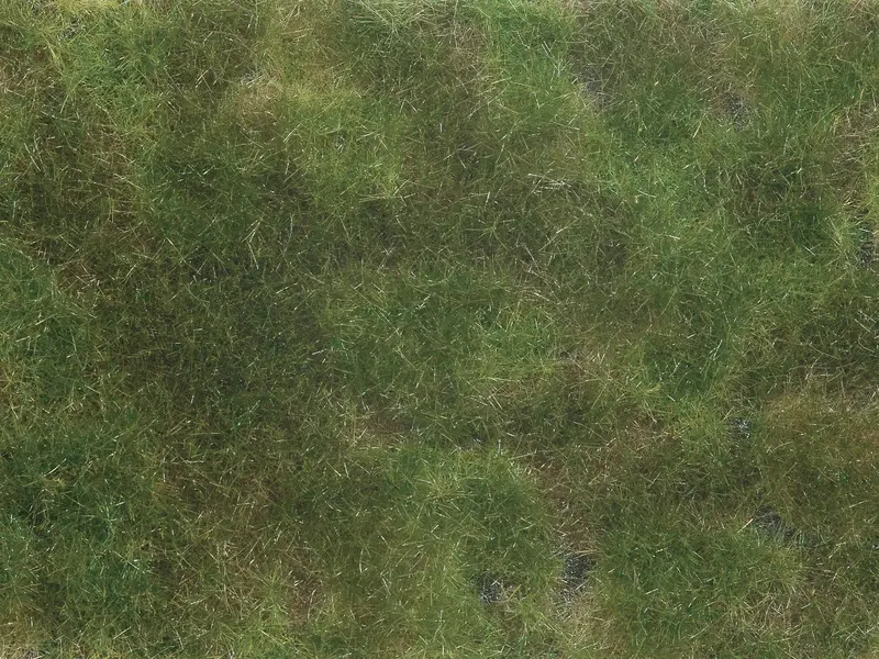 Noch - 07251 - Groundcover Foliage - Olive Green 1