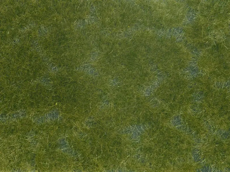 Noch - 07252 - Groundcover Foliage - Dark Green 1