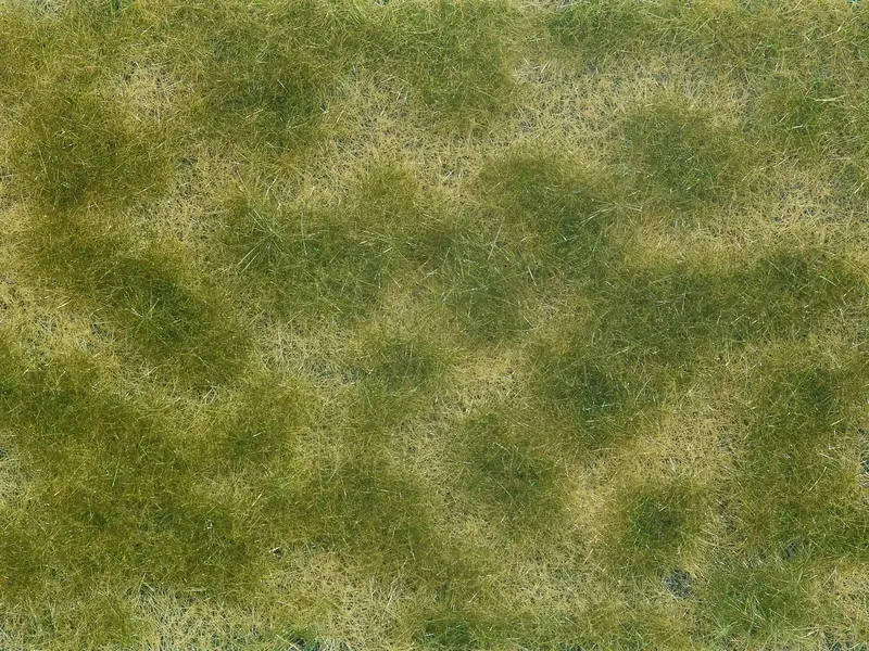 Noch - 07253 - Groundcover Foliage - Green/Beige 1