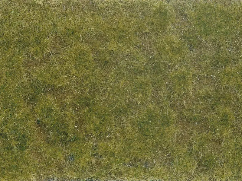 Noch - 07254 - Groundcover Foliage - Green/Brown 1