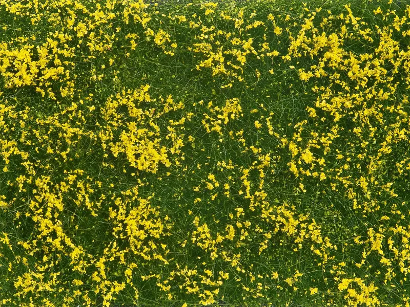 Noch 07255 - Groundcover Foliage - Meadow Yellow 1