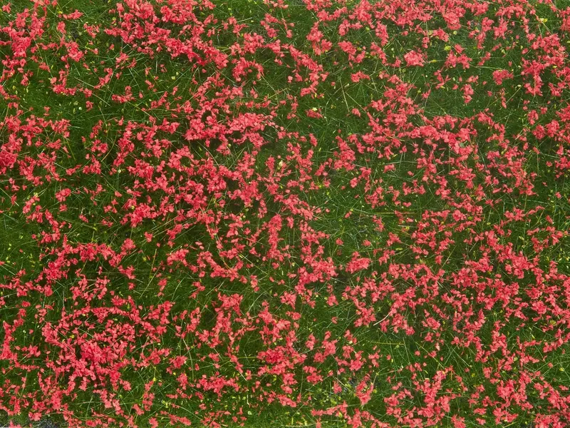 Noch - 07257 - Groundcover Foliage - Meadow Red 1