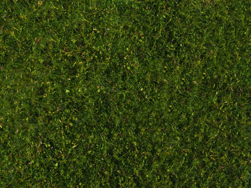 Noch 07291 - Meadow Foliage - Middle Green (20 X 23Cm) 1