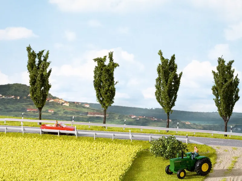 Noch 07420 - Nature - Rapeseed/Canola Field 1