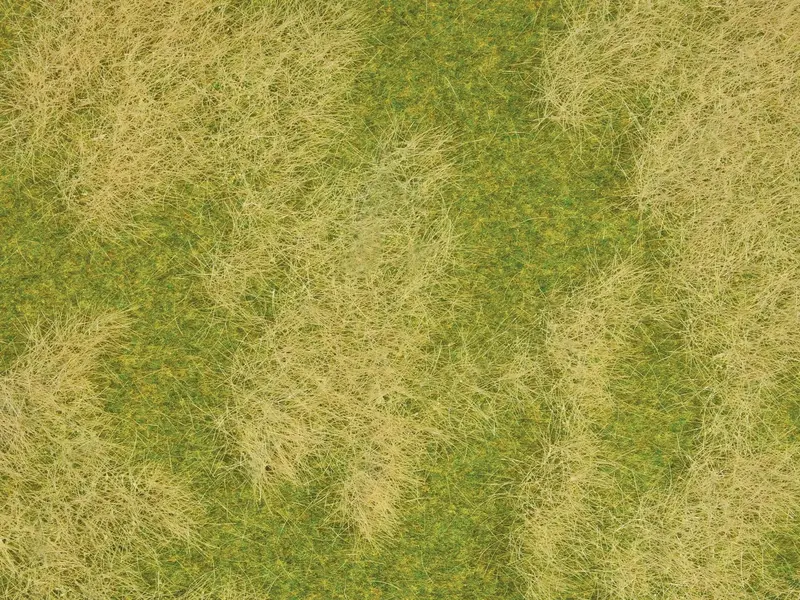 Noch 07472 - Nature - Natural Meadow 2