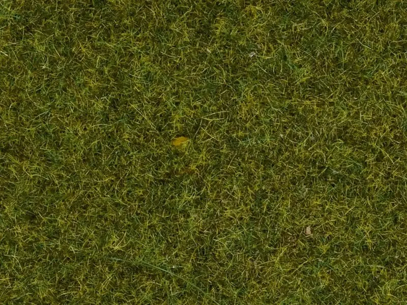 Noch 08361 - Scatter Grass - Meadow (4Mm) (20G) 1