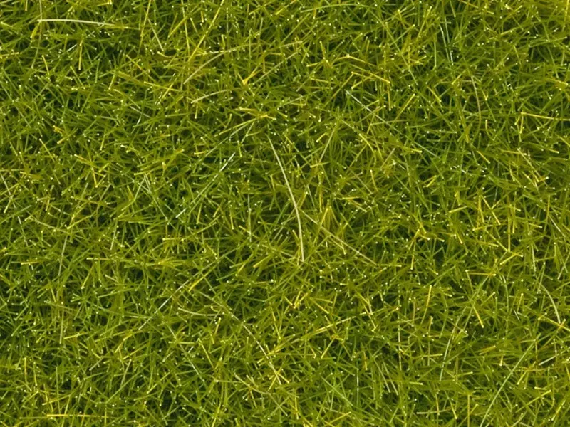Noch 08363 - Scatter Grass - Light Green (4Mm) (20G) 1
