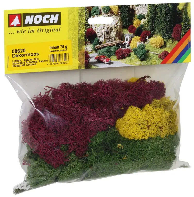 Noch 08620 - Lichen - Autumn Mix (75G) 1