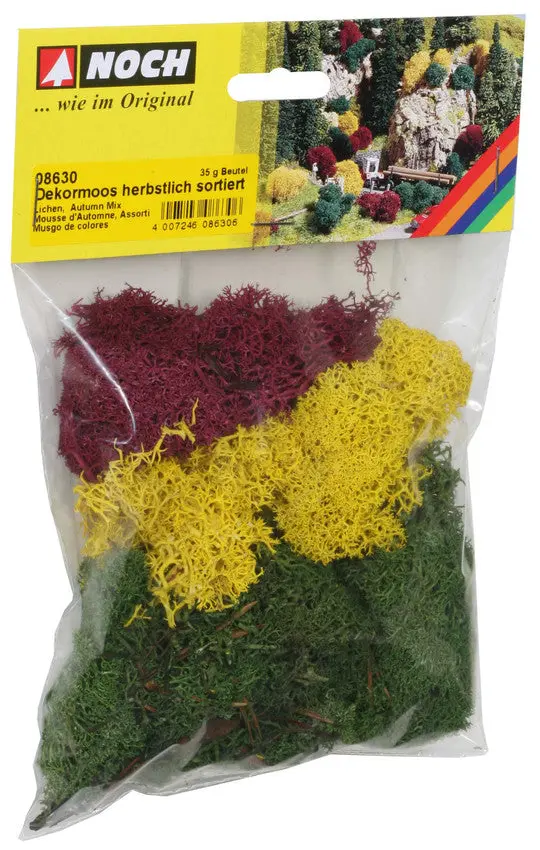 Noch 08630 - Lichen - Autumn Mix (35G) 1