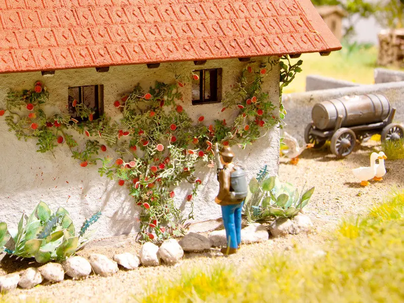 Noch 14118 - Rambler Roses (Ho Scale) 1