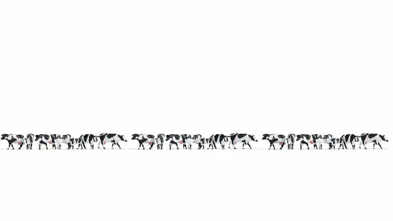 Noch 16164 - Xl Figure Set - Black And White Cows (Ho Scale) 1