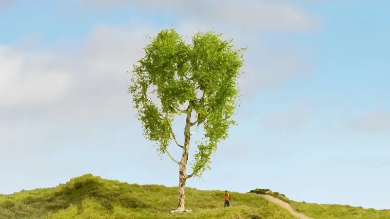 Noch 20125 - Downy Birch Tree (21Cm) 1