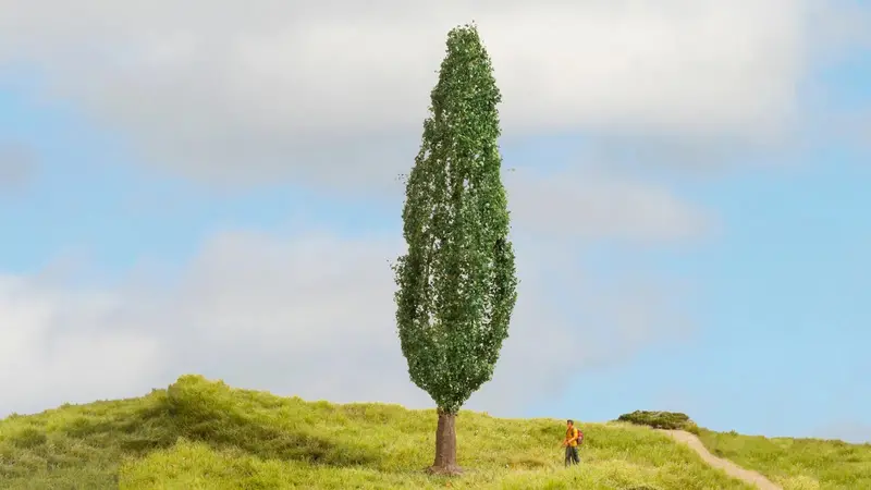 Noch 20130 - Poplar (18Cm) 1
