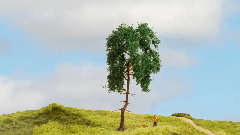 Noch 20140 - Pine Tree (15Cm) 1
