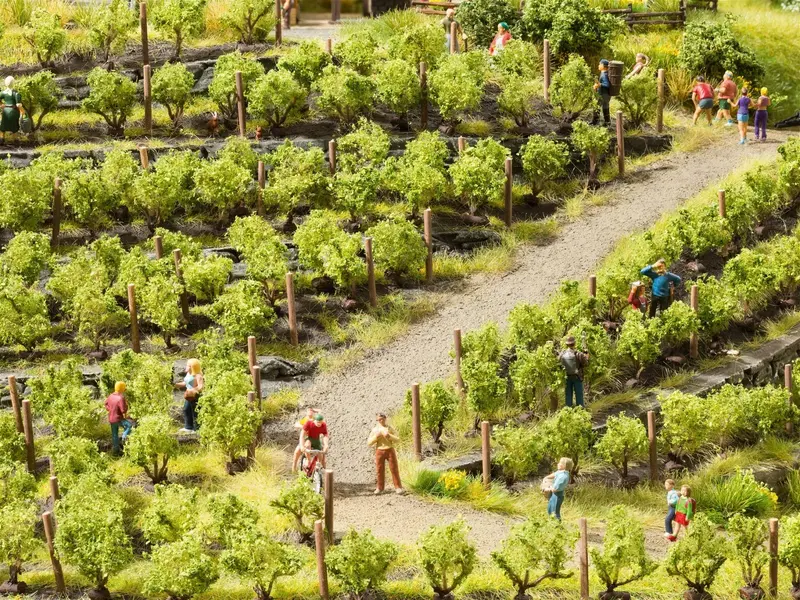 Noch 21540 - Vines - 24 Vines (Approx. 2.2Cm) (Ho Scale) 1
