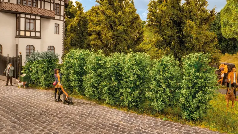 Noch 21547 - Conifer Hedge 1