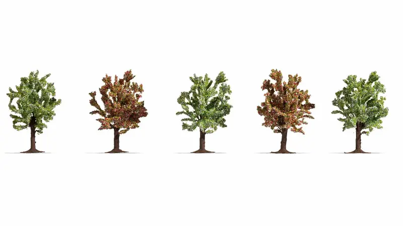 Noch 25615 - Fruit Trees - Blossoming 5Pc (8Cm) 1