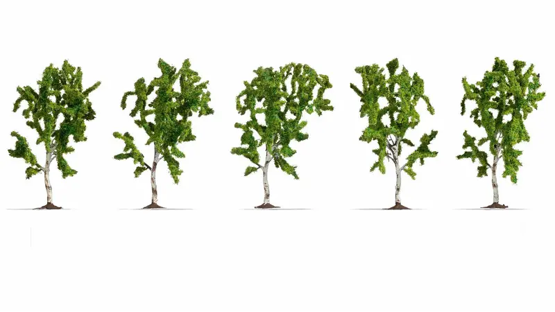 Noch 25630 - Birch Trees - 5Pc (10Cm) 1
